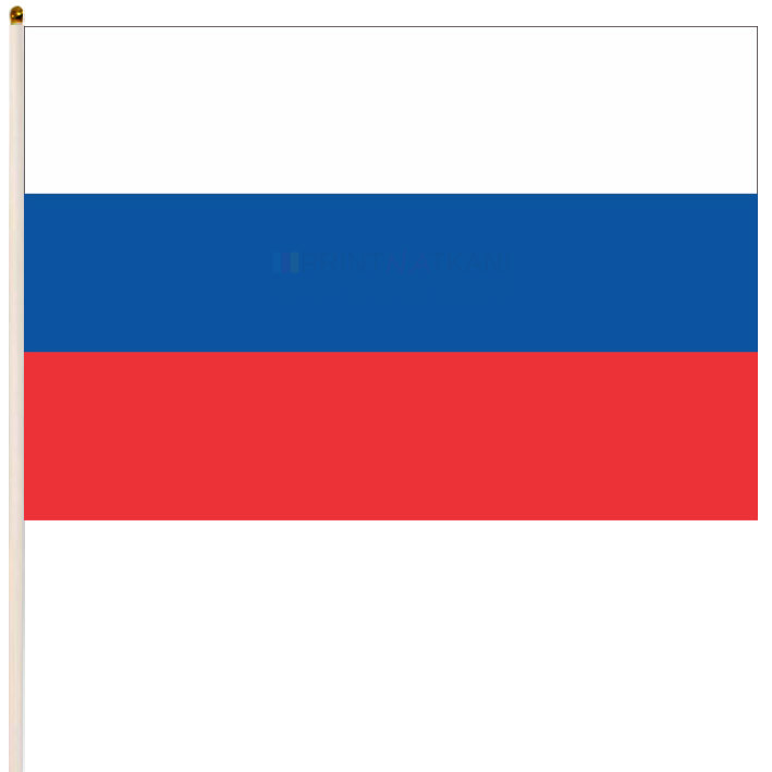 Триколор Рф Флаг Фото